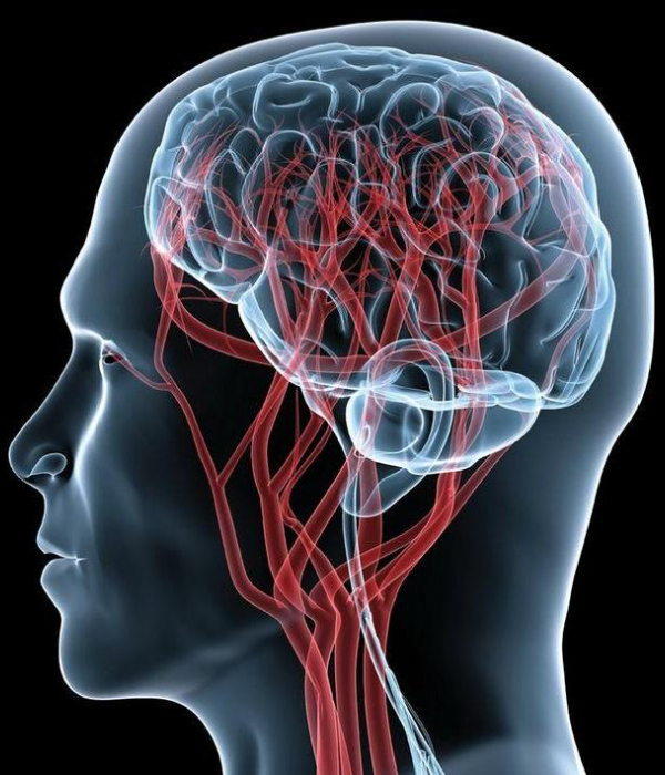 Mental Health Nursing